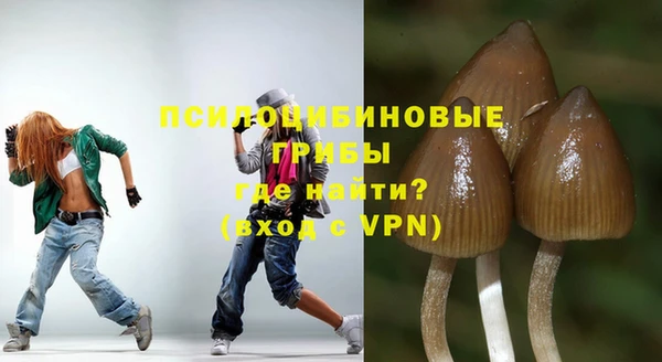 гашик Богданович