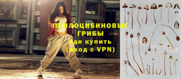 гашик Богданович