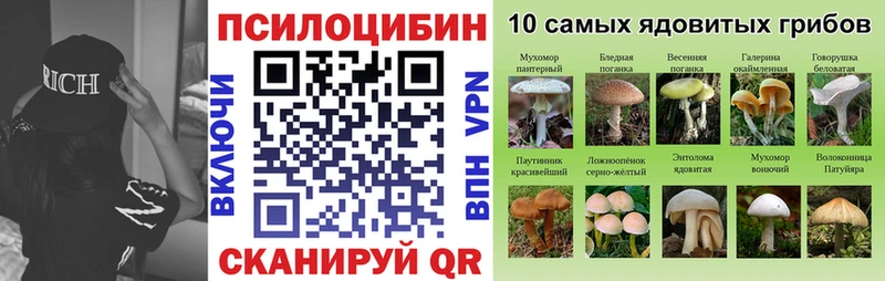 Галлюциногенные грибы GOLDEN TEACHER Шелехов