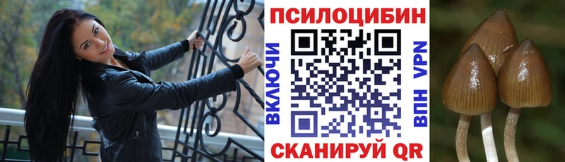 Галлюциногенные грибы прущие грибы  Шелехов 